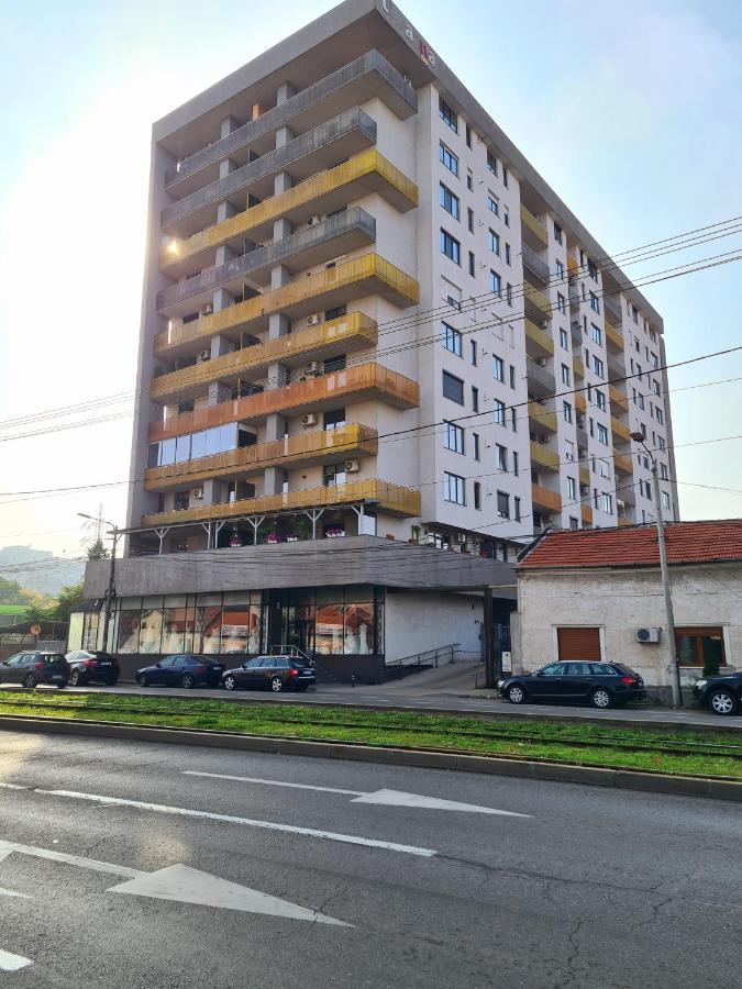 Central Apartament Urbana 아라드 외부 사진